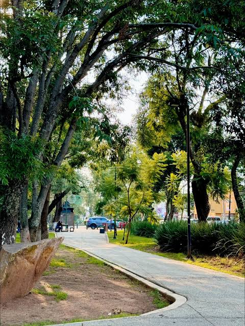 Boulevard García de León en Morelia, una zona arbolada para caminar y correr